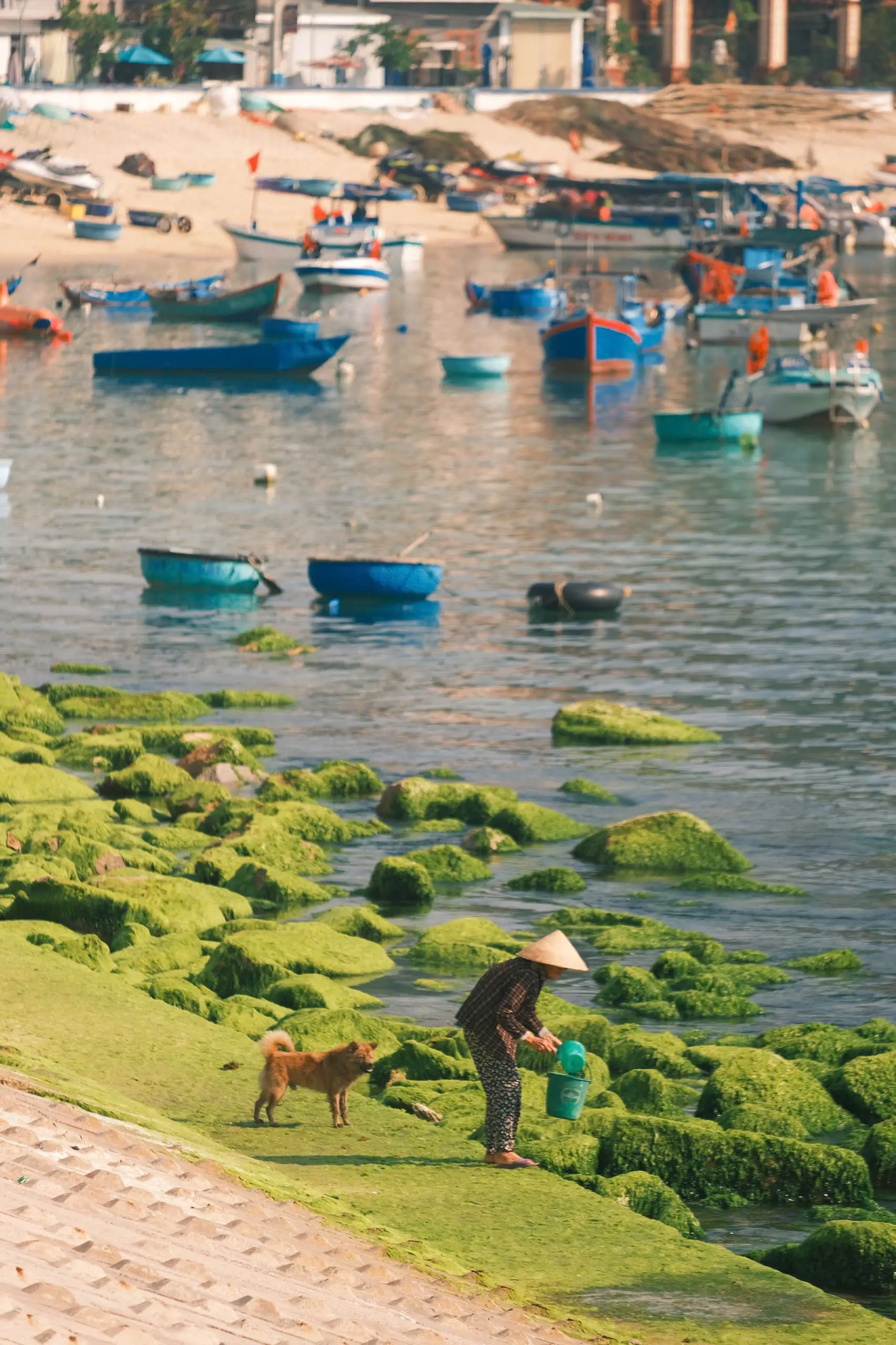 "Mùa hạ bình yên tại làng chài ven biển"  - 10
