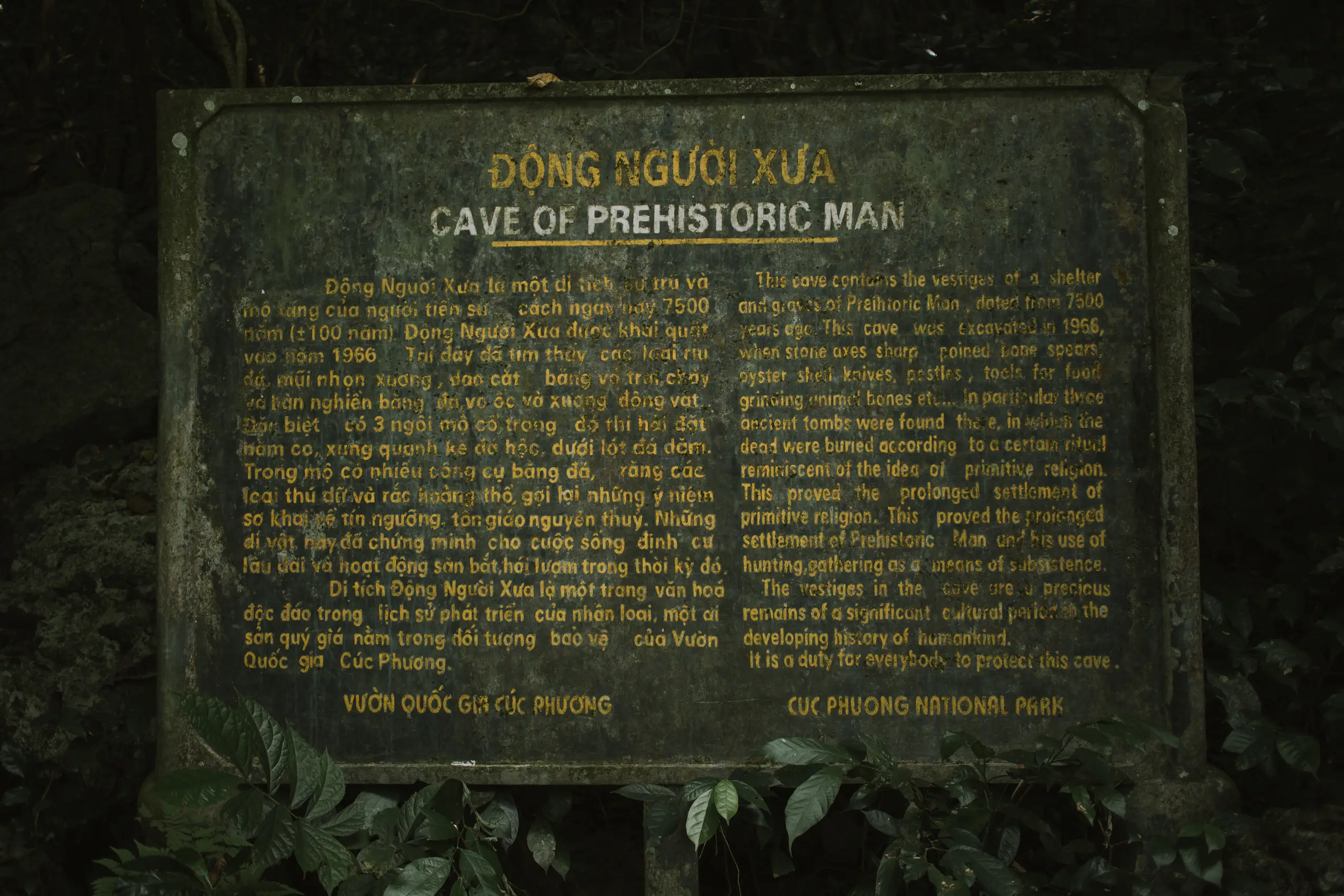 Đi trốn cùng nắng hè - 9